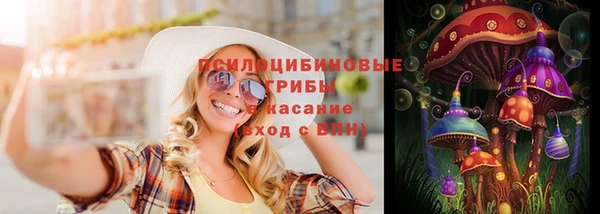 индика Белокуриха
