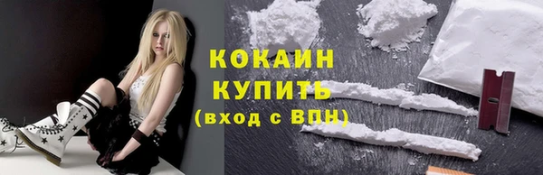 индика Белокуриха