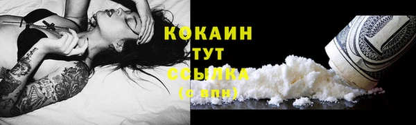 индика Белокуриха