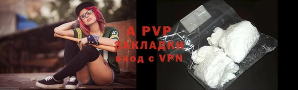 индика Белокуриха