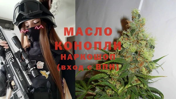 индика Белокуриха