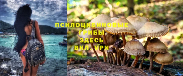 эйфоретик Беломорск