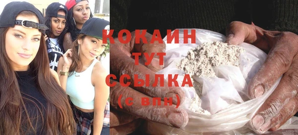 индика Белокуриха