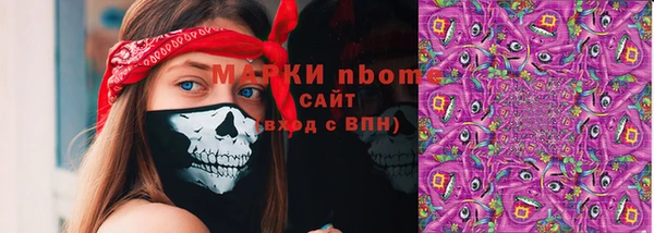индика Белокуриха