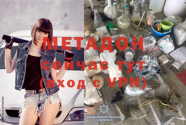 индика Белокуриха